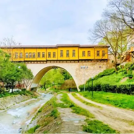 Onuncukoy (adults Only) 3* Bursa