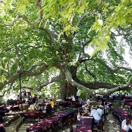 Hotell Onuncukoy (adults Only)