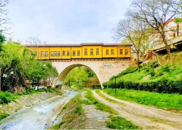 Onuncukoy (adults Only) 3* Бурса