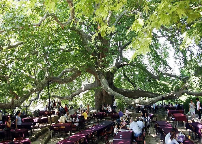 Отель Onuncukoy (adults Only)